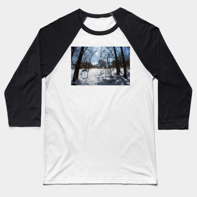 Winterscape Baseball T-Shirt by Jacquelie